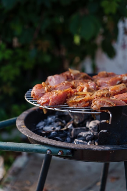 Cucinare shashlik su un barbecue