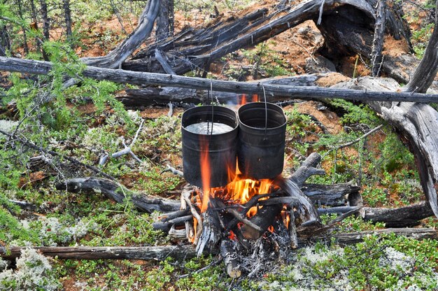 Cucinare sul fuoco da campo