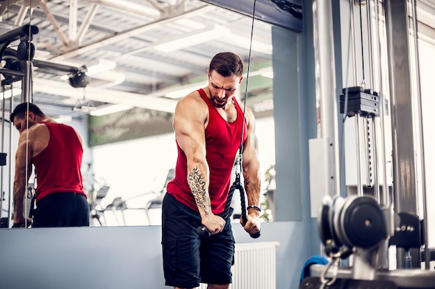 Culturista muscolare bello di forma fisica che fa esercizio pesante per il tricipite