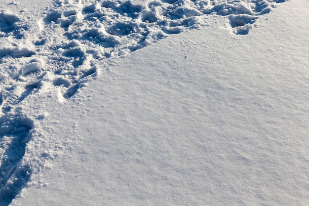 Cumuli di neve dopo la nevicata in inverno