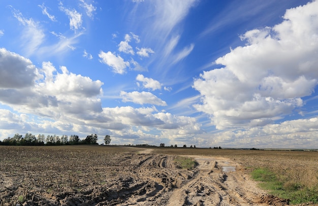 Cumuli e cirri su una strada sterrata in un campo