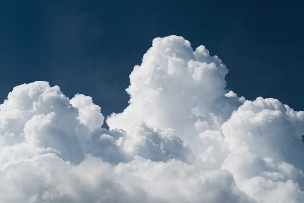 Cumulo del primo piano con cielo blu