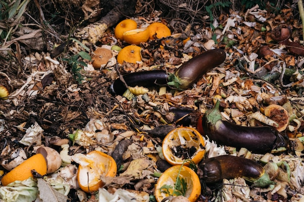 Cumulo di compost colorato e fossa dell'immondizia con frutta e verdura colorate marce