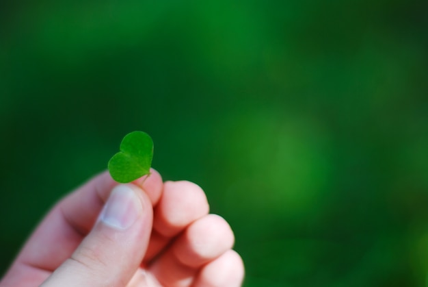 Cuore a forma di pianta verde tenuto da mano maschile