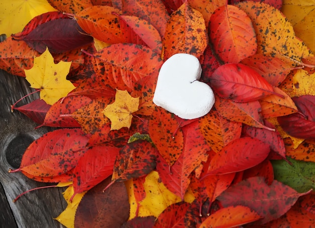 Cuore decorativo fatto a mano su foglie autunnali colorate