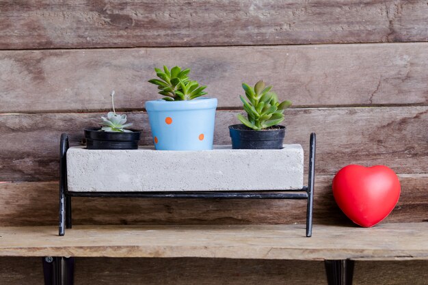 Cuore rosso del biglietto di S. Valentino decorato con i vasi del cactus su fondo rustico di legno