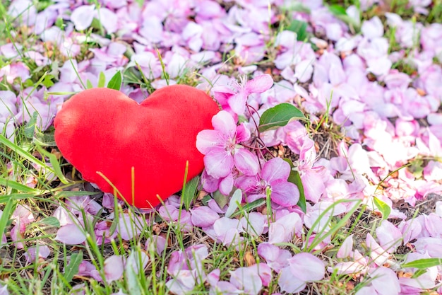 Cuore rosso in fiori di melo Concetto di amore e relazione Concetto di San Valentino