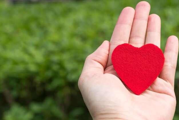 Cuore rosso in mano sugli sfondi di erba verde