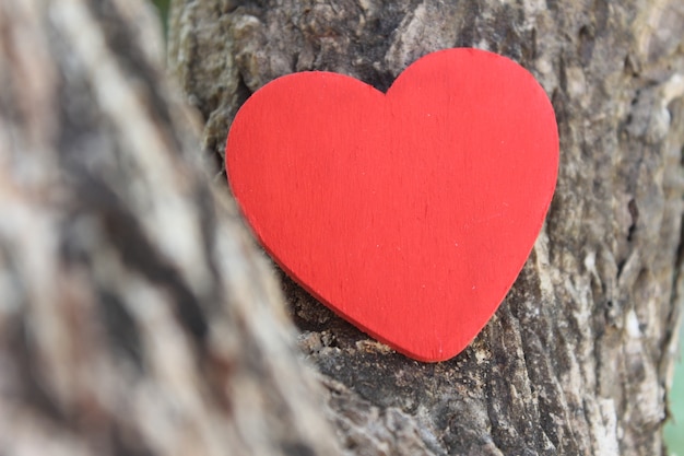 Cuore rosso sul tronco d&#39;albero