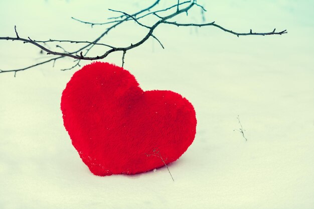 Cuore rosso sulla neve