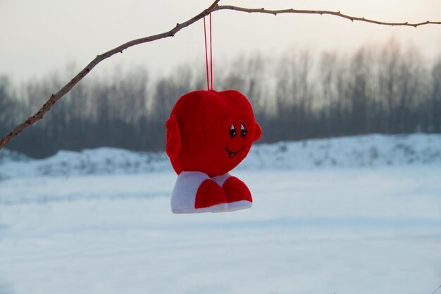 Cuore rosso sullo sfondo del paesaggio invernale