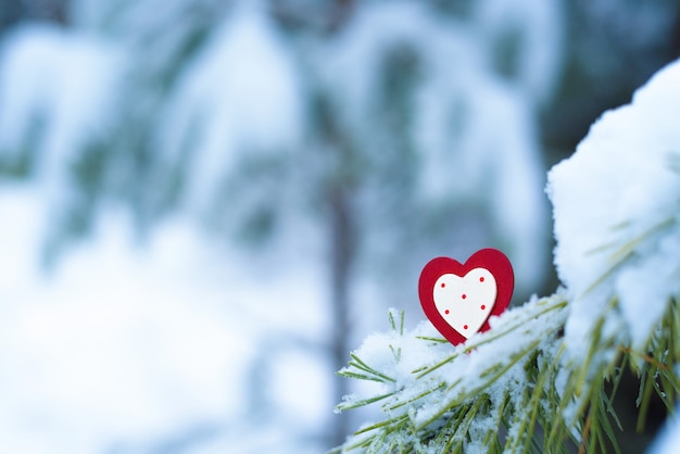 Cuore sulla neve sui rami di abete in inverno