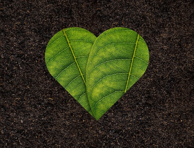 Cuore verde fatto di foglie verdi sul concetto di ecologia del fondo del suolo