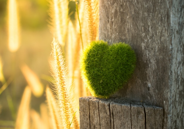 Cuore verde su legno con sfondo chiaro tramonto.