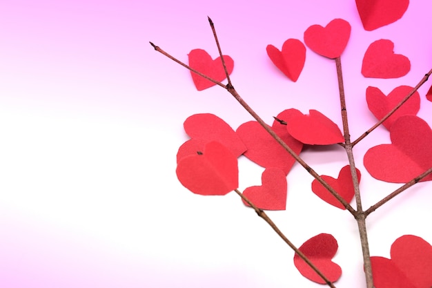 cuori di carta sui rami degli alberi isolati su bianco con sfondo rosa per san valentino