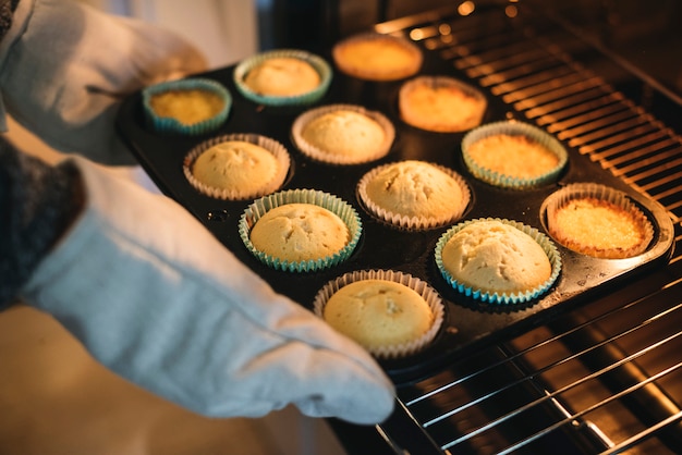 Cupcakes appena sfornati