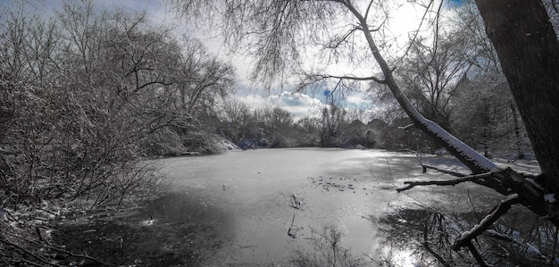 cupo paesaggio invernale sullo stagno