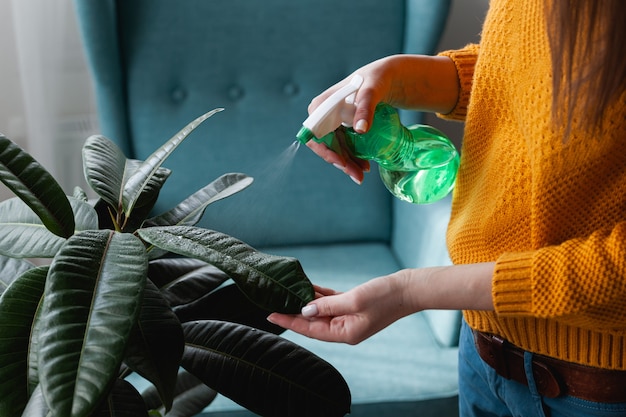 Cura della donna delle piante d'appartamento e degli spruzzi d'acqua a casa