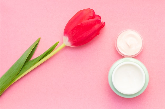 Cura della pelle primaverile. Tulipano e barattolo di crema su una parete rosa