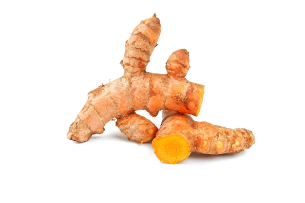 Curcuma (Curcuma longa) isolato su sfondo bianco