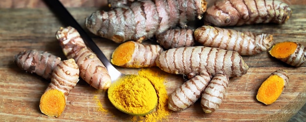 Curcuma Radice di curcuma Condimento alla curcuma in polvere