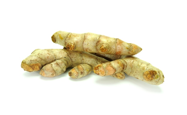 Curcuma