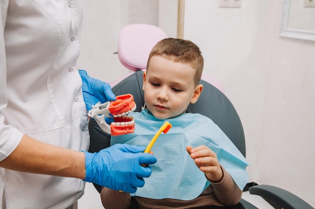 Cure odontoiatriche. Dentista con un piccolo paziente che impara a lavarsi i denti su una dentiera.