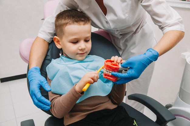 Cure odontoiatriche. Dentista con un piccolo paziente che impara a lavarsi i denti su una dentiera.