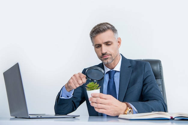 Curioso uomo d'affari guarda la pianta attraverso la lente d'ingrandimento in ufficio