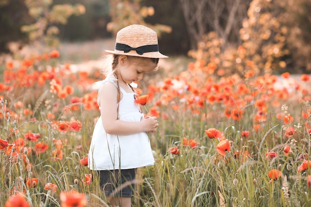 Cute bambina 2-3 anni raccogliere fiori nel prato di papavero all'aperto sopra la natura sfondo primo piano. Tempo di primavera. Infanzia.