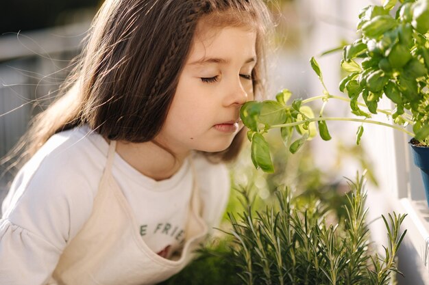 Cute bambina annusa foglie di basilico sul balcone Ritratto di adorabile ragazza giardinaggio all'aperto