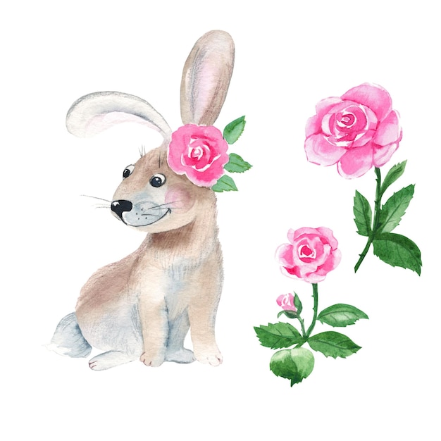 Cute bunny with pink roses isolated on white background watercolor hand drawn illustration perfect