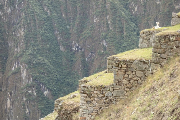 Cuzco, Perù. l'antica città inca di Machu Picchu