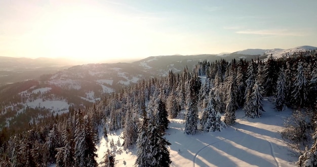 Da grande altezza fiabesco paesaggio di montagna innevato alpino cime aguzze Inverno selvaggio nelle montagne dei Carpazi Ucraina Spesse nuvole bianche Spazio aperto Antenna 4K