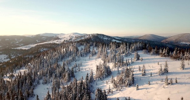 Da grande altezza fiabesco paesaggio di montagna innevato alpino cime aguzze Inverno selvaggio nelle montagne dei Carpazi Ucraina Spesse nuvole bianche Spazio aperto Antenna 4K