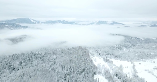 Da grande altezza fiabesco paesaggio di montagna innevato alpino cime aguzze Inverno selvaggio nelle montagne dei Carpazi Ucraina Spesse nuvole bianche Spazio aperto Antenna 4K