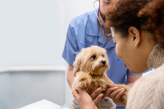 Da vicino una donna sorridente che tiene in braccio un cane