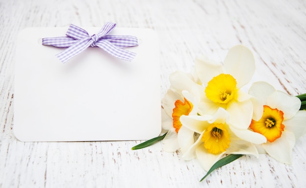 Daffodil fiori con carta