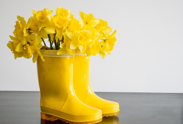 Daffodils gialli in un vaso