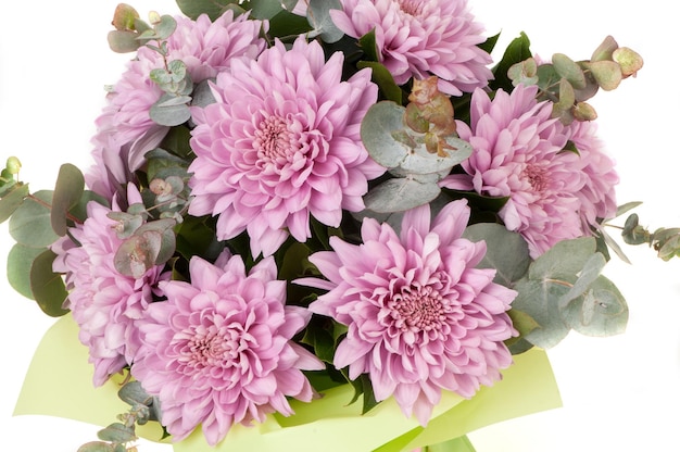 Dalia rosa e aster su sfondo bianco si chiuda. San Valentino