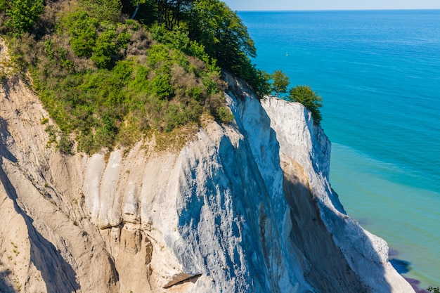 Danish Chalk Cliff Møns Klint, isola di Møn nel Mar Baltico