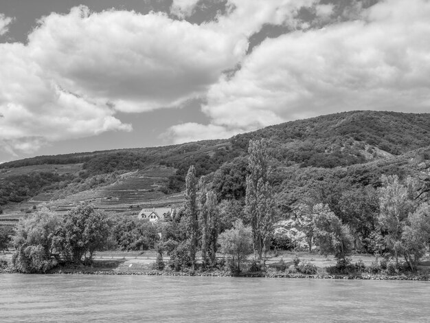 Danubio in Austria