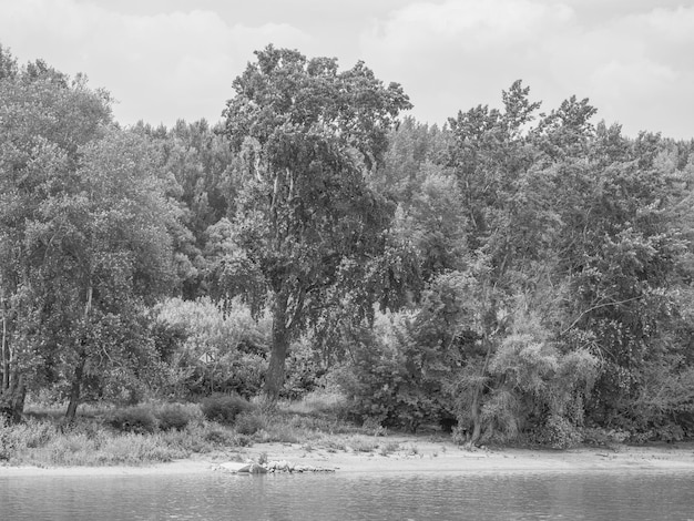 Danubio in ungheria