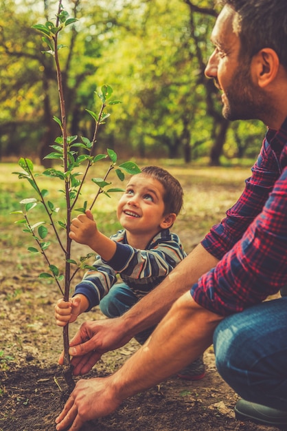 Dare una nuova vita. Ragazzino allegro che aiuta suo padre a piantare l'albero mentre lavora insieme in giardino