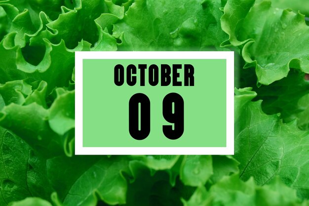 Data del calendario sulla data del calendario sullo sfondo delle foglie di lattuga verde Il 9 ottobre è il nono giorno del mese