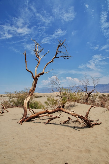 Death Valley in California, USA