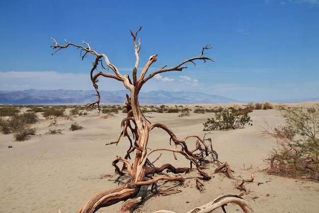 Death Valley in California, USA