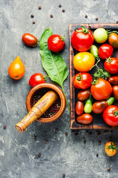 Decapaggio o conserve di pomodori