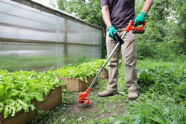 Decespugliatore portatile per il taglio di erba e piante indesiderate nelle mani della persona In azione per giardino