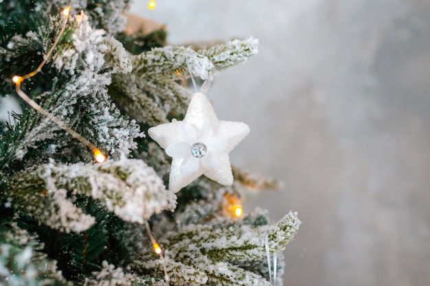 Decorato con il primo piano dell'albero di Natale innevato.